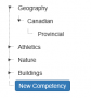 competencyentrynewcompetency.png